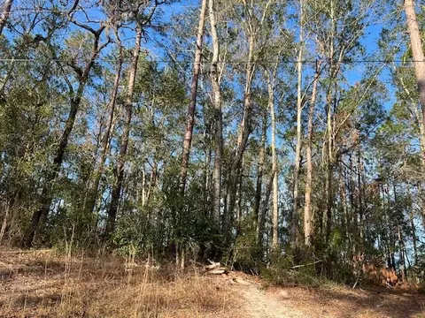 311 NE Timber River Loop, Lee, FL 32059 photo 21