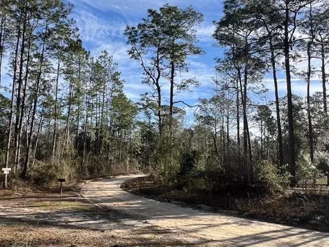 311 NE Timber River Loop, Lee, FL 32059 photo 24