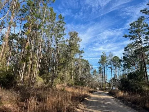 311 NE Timber River Loop, Lee, FL 32059 photo 18