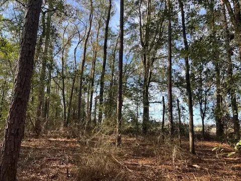 311 NE Timber River Loop, Lee, FL 32059 photo 13