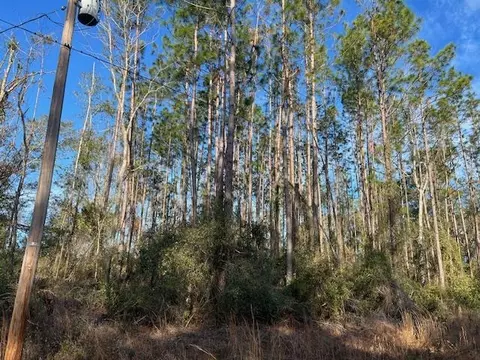 311 NE Timber River Loop, Lee, FL 32059 photo 14