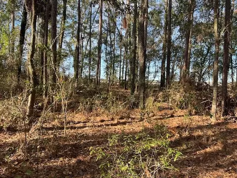 311 NE Timber River Loop, Lee, FL 32059 photo 2