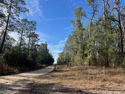311 NE Timber River Loop, Lee, FL 32059 photo 7