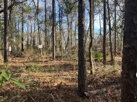 311 NE Timber River Loop, Lee, FL 32059 photo 10