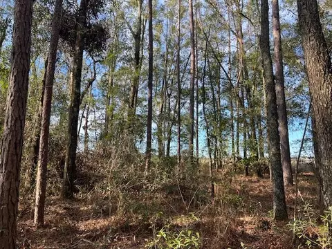 311 NE Timber River Loop, Lee, FL 32059 photo 11
