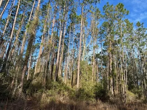 311 NE Timber River Loop, Lee, FL 32059 photo 15