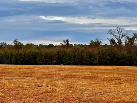 Nnn Luten Road, Quincy, FL 32351