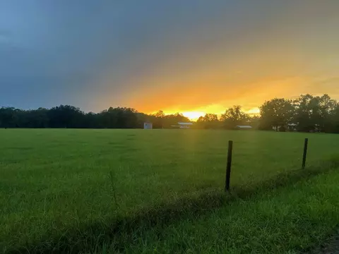 000 Preston Sheffield Rd, Perry, FL 32347 photo 2