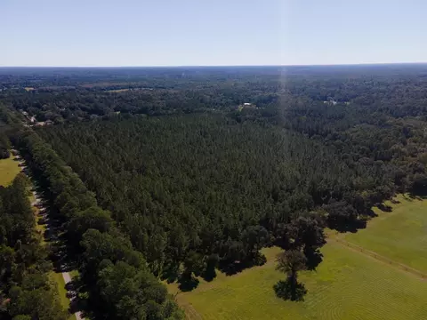 Lot 6 Buck Lake Road, Tallahassee, FL 32317
