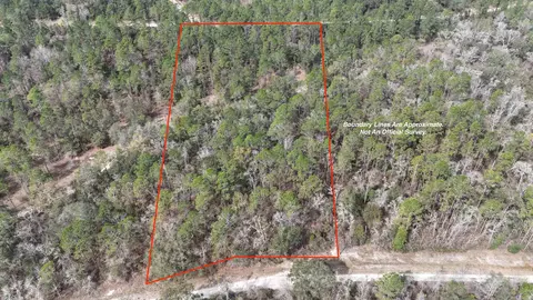 Vacant NE Chervil Drive, Lee, FL 32059