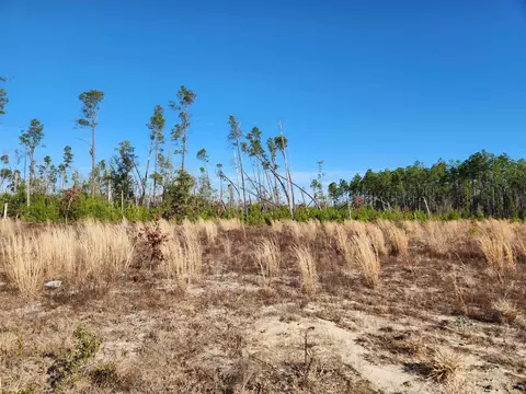 Nn NW Long Branch Ct, Bristol, FL 32321