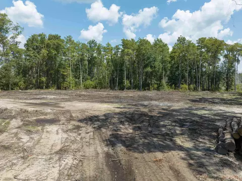 5300 Turner Rd, Perry, FL 32348 photo 6