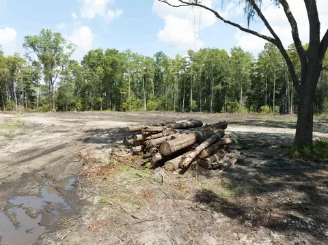5300 Turner Rd, Perry, FL 32348 photo 15