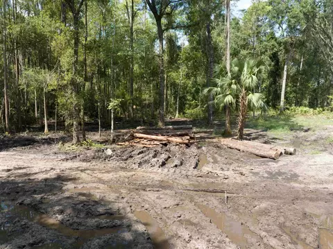 5300 Turner Rd, Perry, FL 32348 photo 16