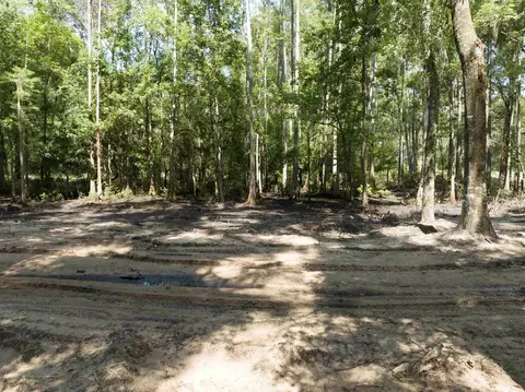 5300 Turner Rd, Perry, FL 32348 photo 14