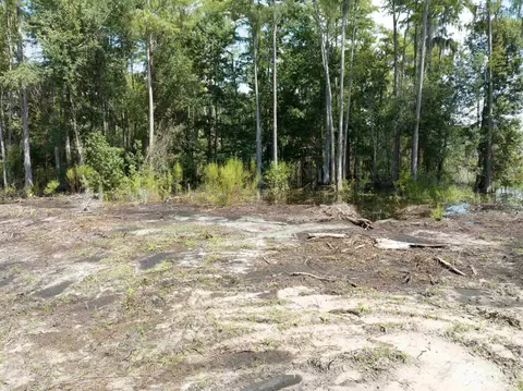 5300 Turner Rd, Perry, FL 32348 photo 17