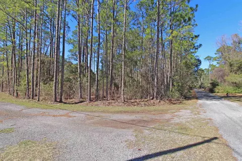 Nn Buckhorn Creek Road, Sopchoppy, FL 32358