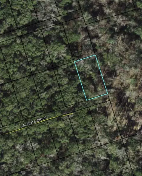 lot7 Caliente Dr, Crawfordville, FL 32327