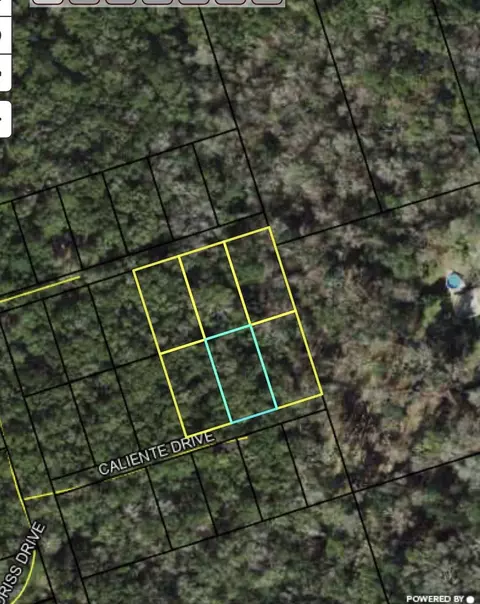 lot8 Caliente Dr, Crawfordville, FL 32327