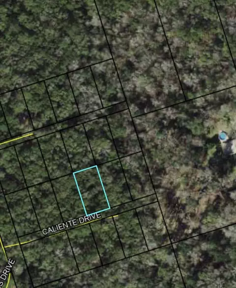 lot9 Caliente Dr, Crawfordville, FL 32327