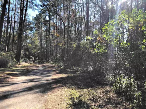 00 Buttercup Way, Tallahassee, FL 32311