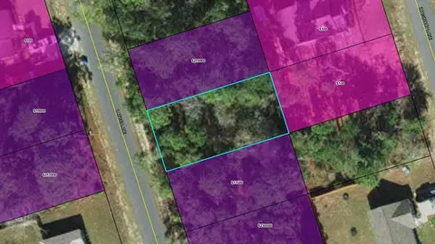 Nnn Lance Lane, Crawfordville, FL 32327