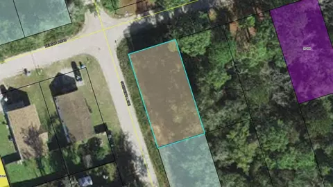 Nnn Nelson Road, Crawfordville, FL 32327