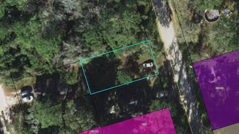 Nnn Beeler Road, Crawfordville, FL 32327