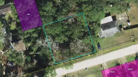 Nnn Shawnee Trail, Crawfordville, FL 32327