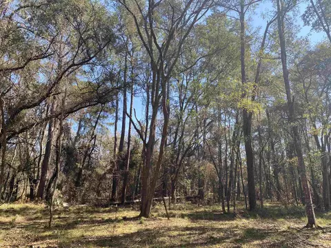 133 Smokehouse Farms Dr, Greenville, FL 32331