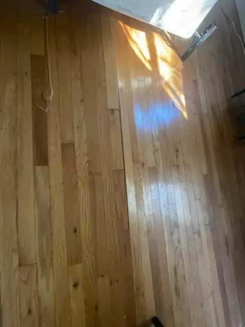 Other - 57 Chehaw St, Panacea, FL 32346 photo 5 of 15
