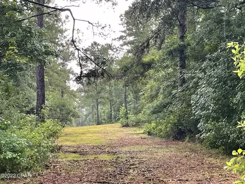 0000 Carters Mill Rd, Marianna, FL 32446