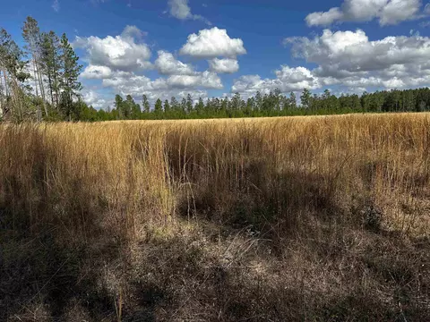 Vacant NE Lydee Way, Lee, FL 32059 photo 6