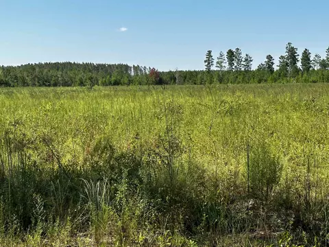 Vacant NE Lydee Way, Lee, FL 32059 photo 5