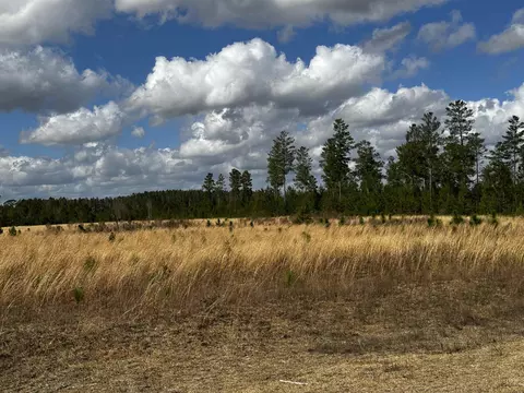 Vacant NE Lydee Way, Lee, FL 32059 photo 7
