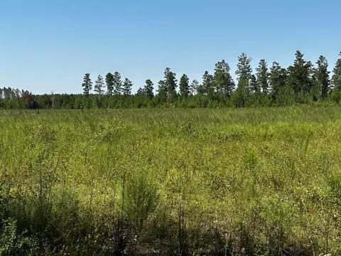Vacant NE Lydee Way, Lee, FL 32059 photo 4