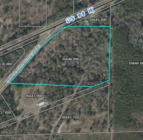 4899 Hampton Springs Rd, Perry, FL 32348 photo 4