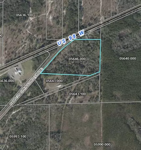 4899 Hampton Springs Rd, Perry, FL 32348 photo 2