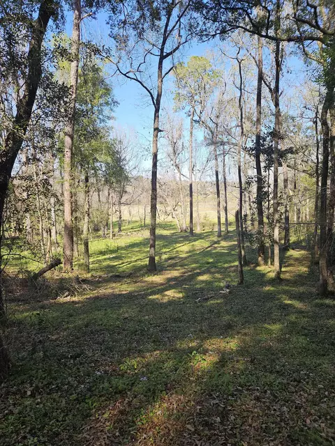Nnnn Charleston Road, Tallahassee, FL 32309