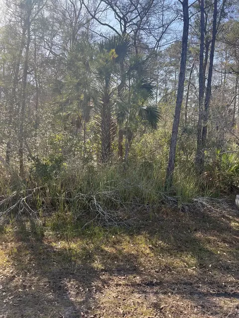 Nn Burnt Pine Loop, Saint Marks, FL 32355 photo 3