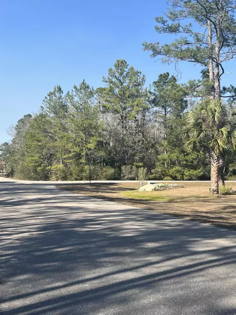 Nn Burnt Pine Loop, Saint Marks, FL 32355 photo 8
