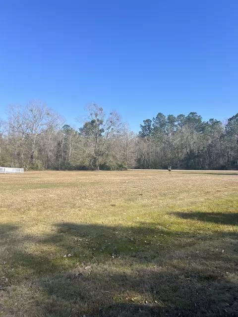 Nn Burnt Pine Loop, Saint Marks, FL 32355 photo 16
