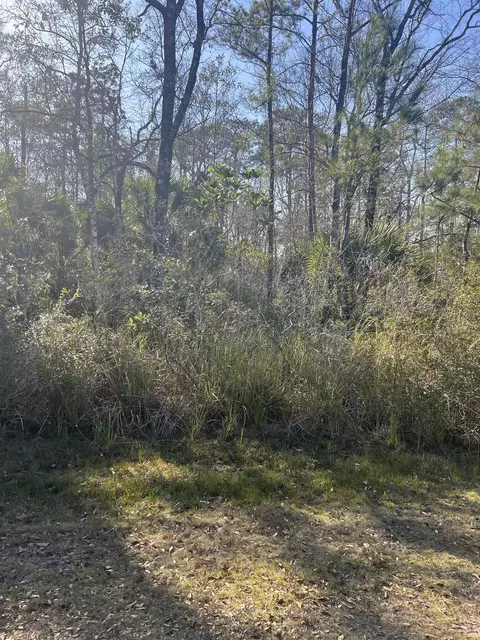 Nn Burnt Pine Loop, Saint Marks, FL 32355 photo 2