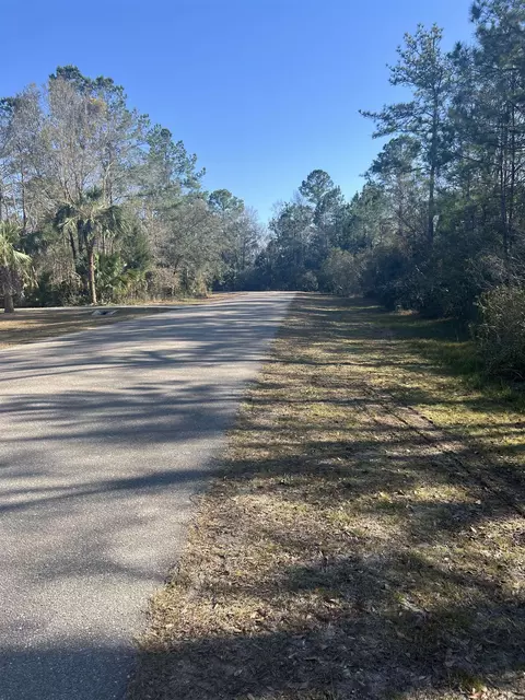 Nn Burnt Pine Loop, Saint Marks, FL 32355 photo 7
