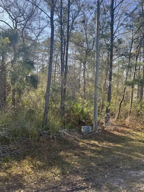 Nn Burnt Pine Loop, Saint Marks, FL 32355