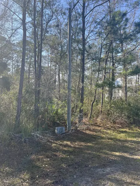 Nn Burnt Pine Loop, Saint Marks, FL 32355 photo 4
