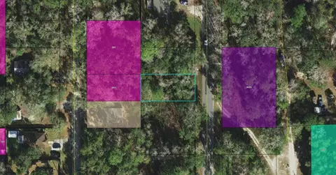 Nnn Franklin Drive, Crawfordville, FL 32327