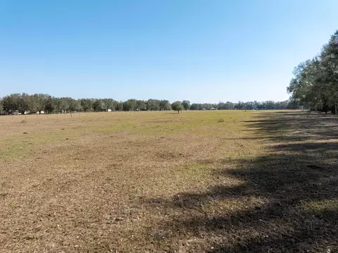 Vacant Donaldson Road, Lee, FL 32059 photo 18