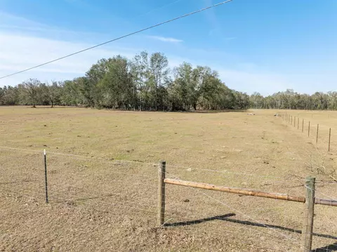 Vacant Donaldson Road, Lee, FL 32059 photo 2