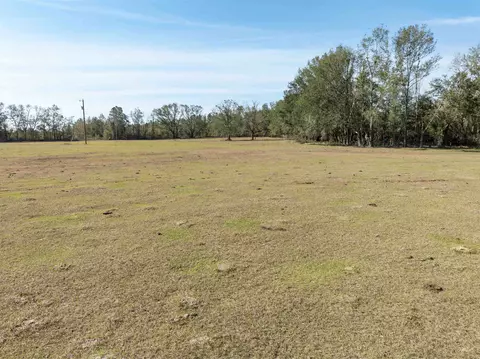 Vacant Donaldson Road, Lee, FL 32059 photo 9